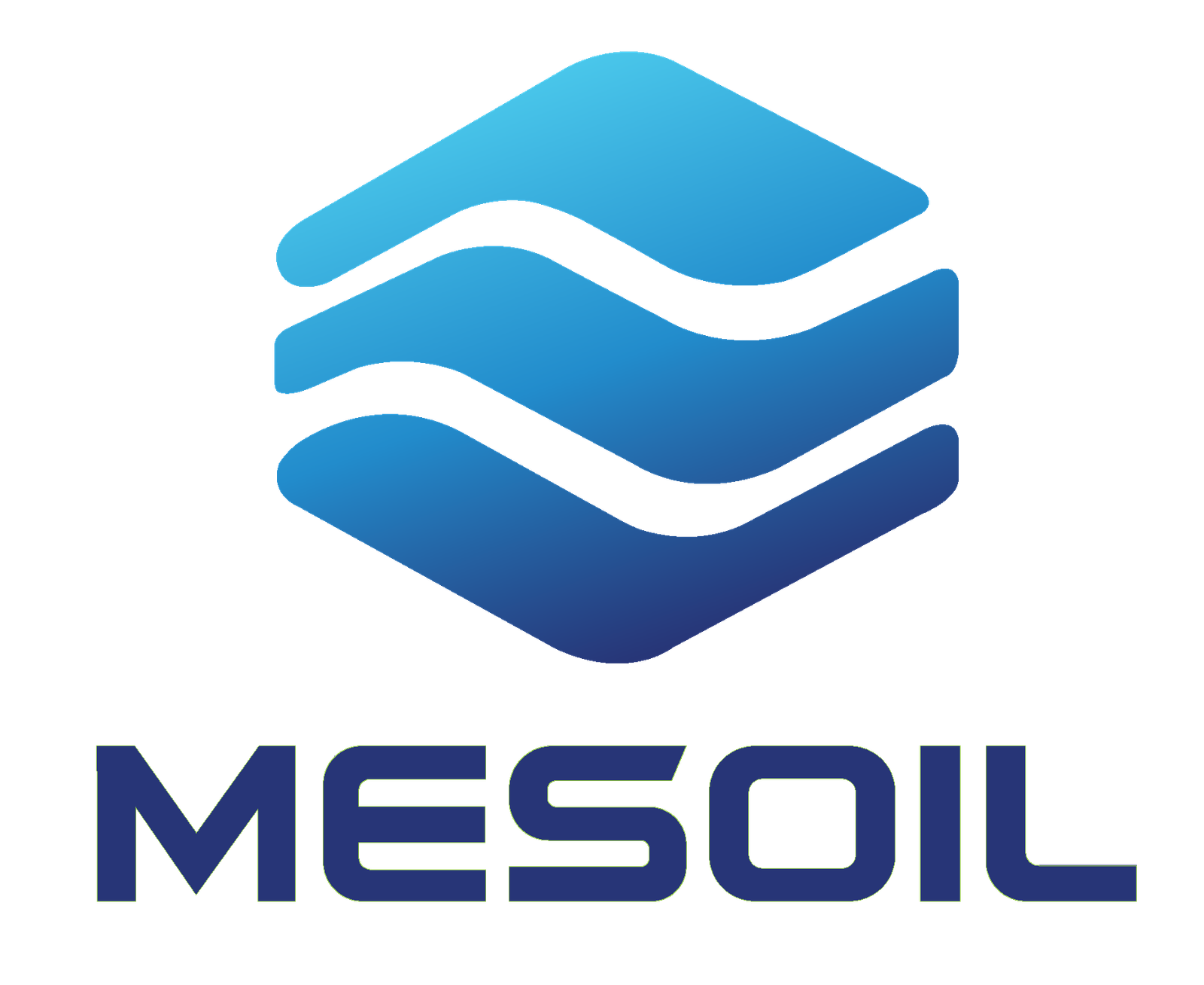 Mesoil
